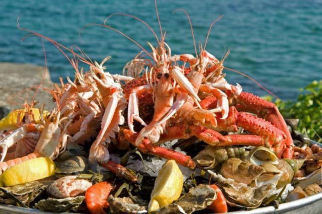 Kermaravel, Le Petit Manoir En Bord De Mer. Сен-Поль-де-Леон Екстер'єр фото